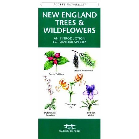 WATERFORD PRESS New England Trees amp; Wildflowers Book WFP1583551745